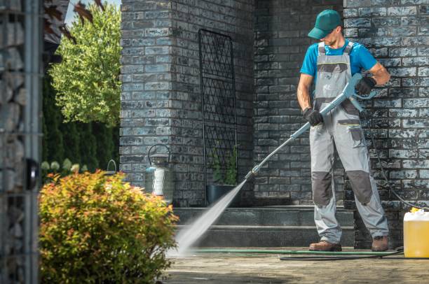 Best Roof Washing  in La Nte, MO