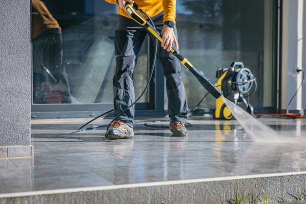 Best Graffiti Removal  in La Nte, MO