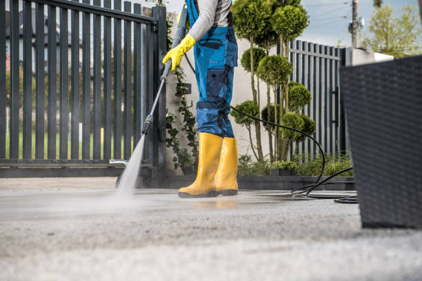 Best Fence Cleaning  in La Nte, MO